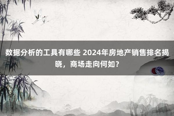 数据分析的工具有哪些 2024年房地产销售排名揭晓，商场走向何如？