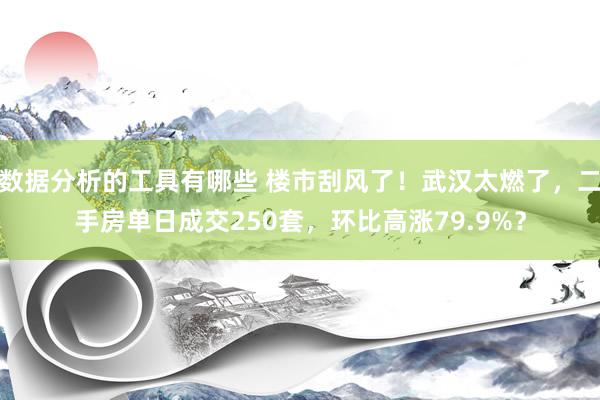 数据分析的工具有哪些 楼市刮风了！武汉太燃了，二手房单日成交250套，环比高涨79.9%？