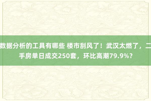 数据分析的工具有哪些 楼市刮风了！武汉太燃了，二手房单日成交250套，环比高潮79.9%？