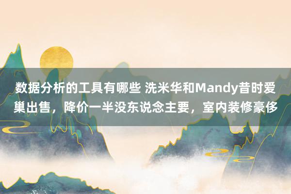 数据分析的工具有哪些 洗米华和Mandy昔时爱巢出售，降价一半没东说念主要，室内装修豪侈