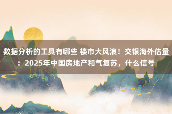 数据分析的工具有哪些 楼市大风浪！交银海外估量：2025年中国房地产和气复苏，什么信号