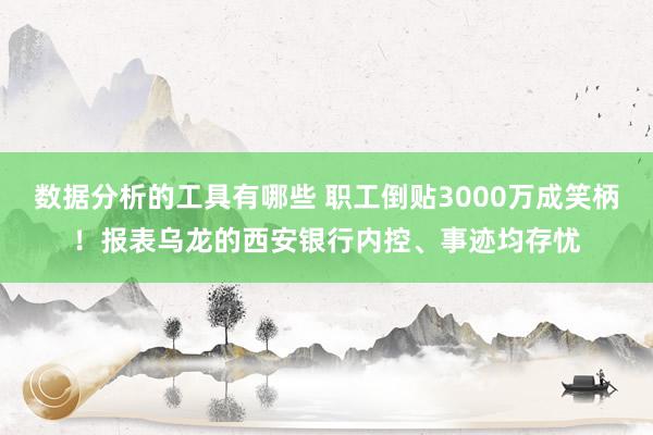 数据分析的工具有哪些 职工倒贴3000万成笑柄！报表乌龙的西安银行内控、事迹均存忧