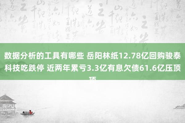 数据分析的工具有哪些 岳阳林纸12.78亿回购骏泰科技吃跌停 近两年累亏3.3亿有息欠债61.6亿压顶