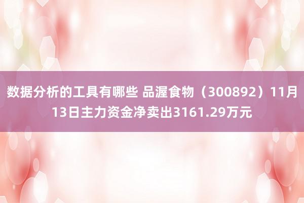 数据分析的工具有哪些 品渥食物（300892）11月13日主力资金净卖出3161.29万元