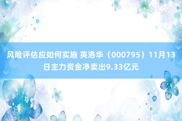 风险评估应如何实施 英洛华（000795）11月13日主力资金净卖出9.33亿元