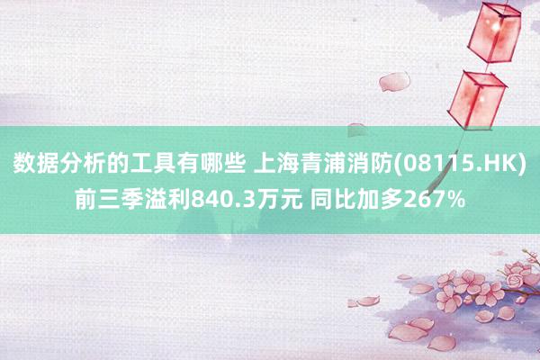 数据分析的工具有哪些 上海青浦消防(08115.HK)前三季溢利840.3万元 同比加多267%