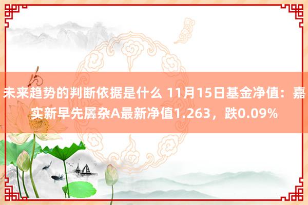 未来趋势的判断依据是什么 11月15日基金净值：嘉实新早先羼杂A最新净值1.263，跌0.09%