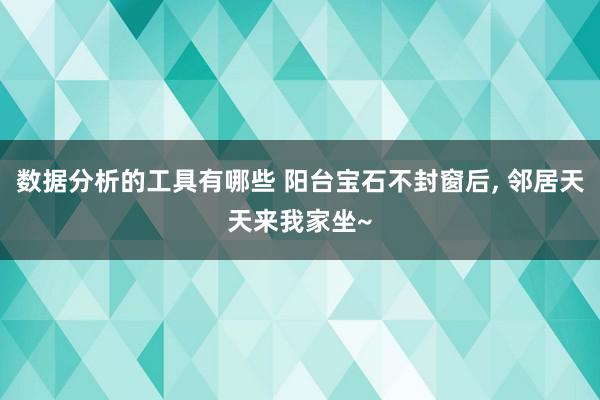 数据分析的工具有哪些 阳台宝石不封窗后, 邻居天天来我家坐~