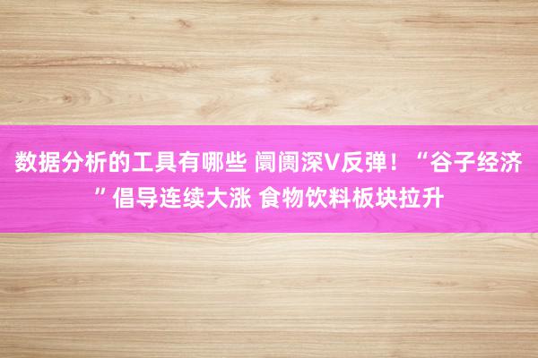 数据分析的工具有哪些 阛阓深V反弹！“谷子经济”倡导连续大涨 食物饮料板块拉升