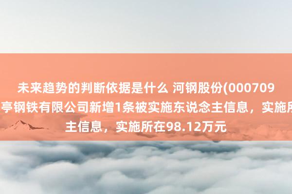 未来趋势的判断依据是什么 河钢股份(000709)控股的河钢乐亭钢铁有限公司新增1条被实施东说念主信息，实施所在98.12万元