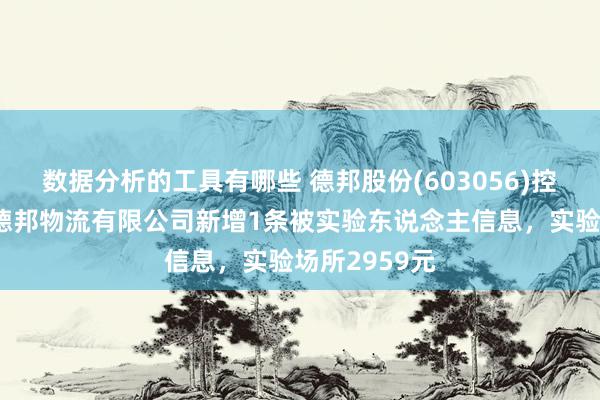 数据分析的工具有哪些 德邦股份(603056)控股的深圳市德邦物流有限公司新增1条被实验东说念主信息，实验场所2959元