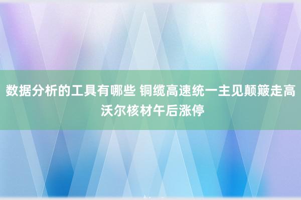 数据分析的工具有哪些 铜缆高速统一主见颠簸走高 沃尔核材午后涨停