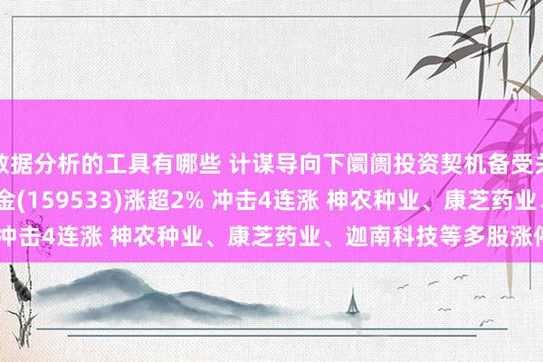 数据分析的工具有哪些 计谋导向下阛阓投资契机备受关心 中证2000ETF基金(159533)涨超2% 冲击4连涨 神农种业、康芝药业、迦南科技等多股涨停