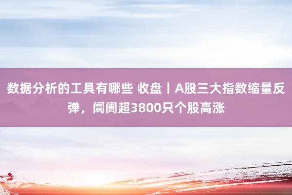 数据分析的工具有哪些 收盘丨A股三大指数缩量反弹，阛阓超3800只个股高涨