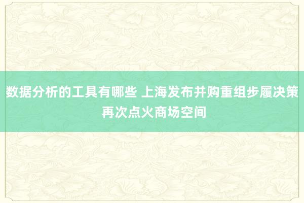 数据分析的工具有哪些 上海发布并购重组步履决策 再次点火商场空间