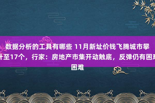 数据分析的工具有哪些 11月新址价钱飞腾城市攀升至17个，行家：房地产市集开动触底，反弹仍有困难