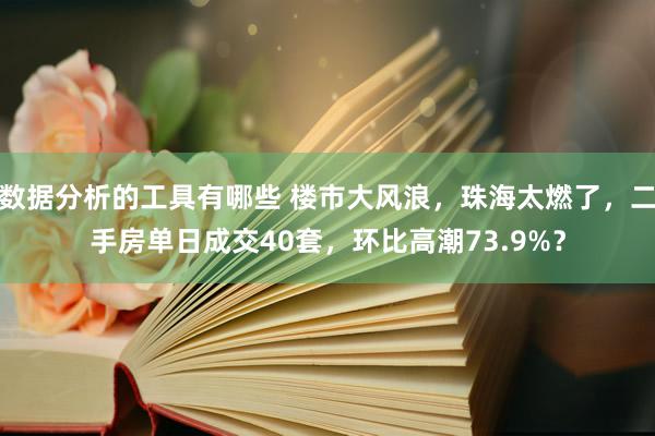 数据分析的工具有哪些 楼市大风浪，珠海太燃了，二手房单日成交40套，环比高潮73.9%？