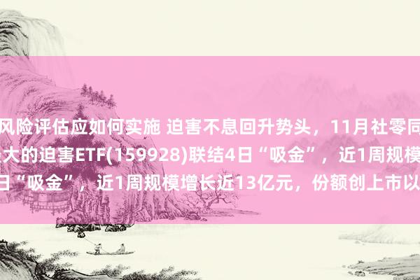 风险评估应如何实施 迫害不息回升势头，11月社零同比增长3.0%！规模最大的迫害ETF(159928)联结4日“吸金”，近1周规模增长近13亿元，份额创上市以来新高！