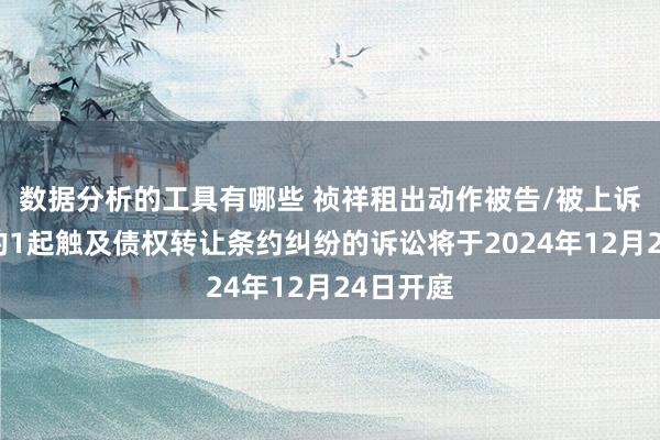 数据分析的工具有哪些 祯祥租出动作被告/被上诉东谈主的1起触及债权转让条约纠纷的诉讼将于2024年12月24日开庭