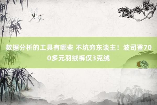 数据分析的工具有哪些 不坑穷东谈主！波司登700多元羽绒裤仅3克绒