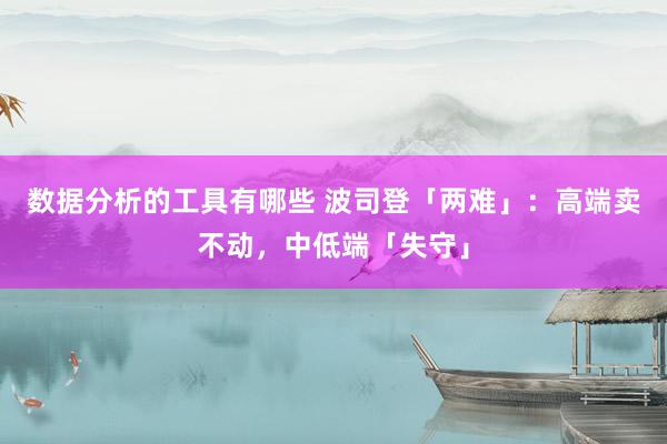 数据分析的工具有哪些 波司登「两难」：高端卖不动，中低端「失守」