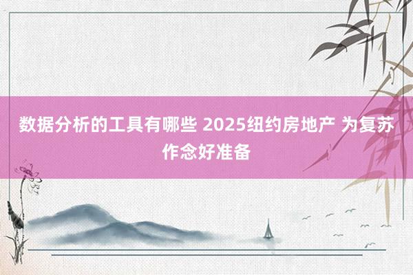 数据分析的工具有哪些 2025纽约房地产 为复苏作念好准备