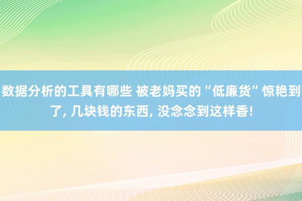 数据分析的工具有哪些 被老妈买的“低廉货”惊艳到了, 几块钱的东西, 没念念到这样香!