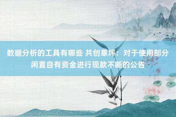 数据分析的工具有哪些 共创草坪：对于使用部分闲置自有资金进行现款不断的公告